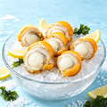 Frozen Scallop Meat